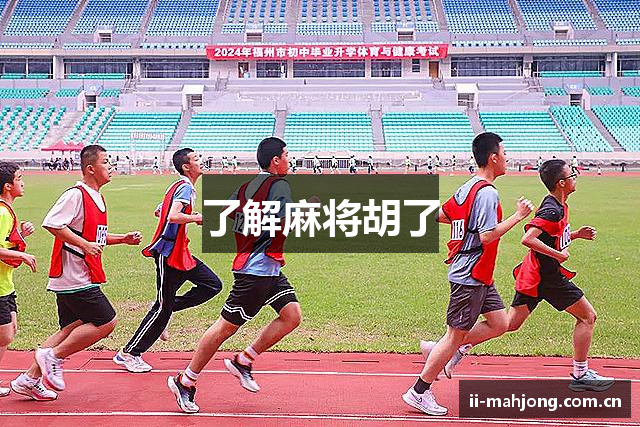 了解麻将胡了